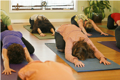Fitness Yoga Class Exercise