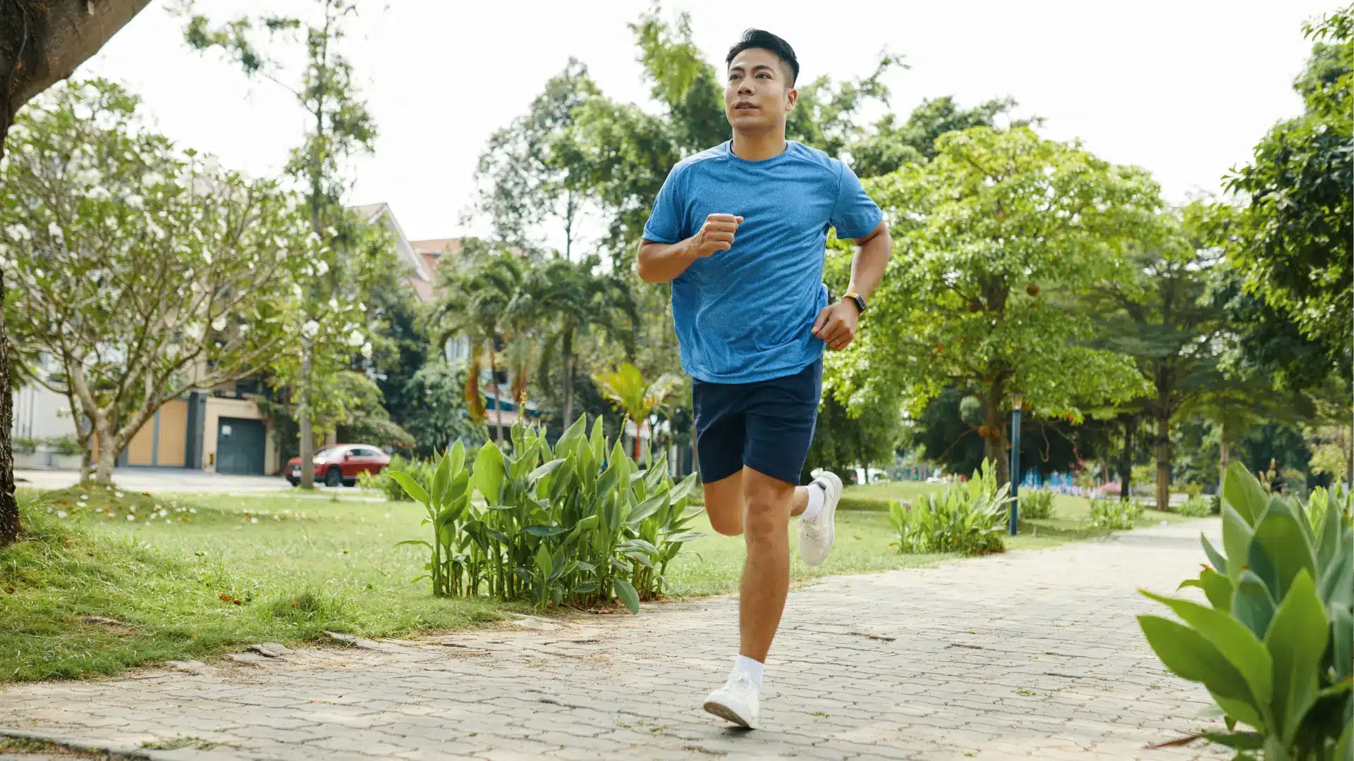 a man in a blue t-shirt and navy shorts jogs along a paved path in a sunlit park. Lush green trees and grass line the walkway
