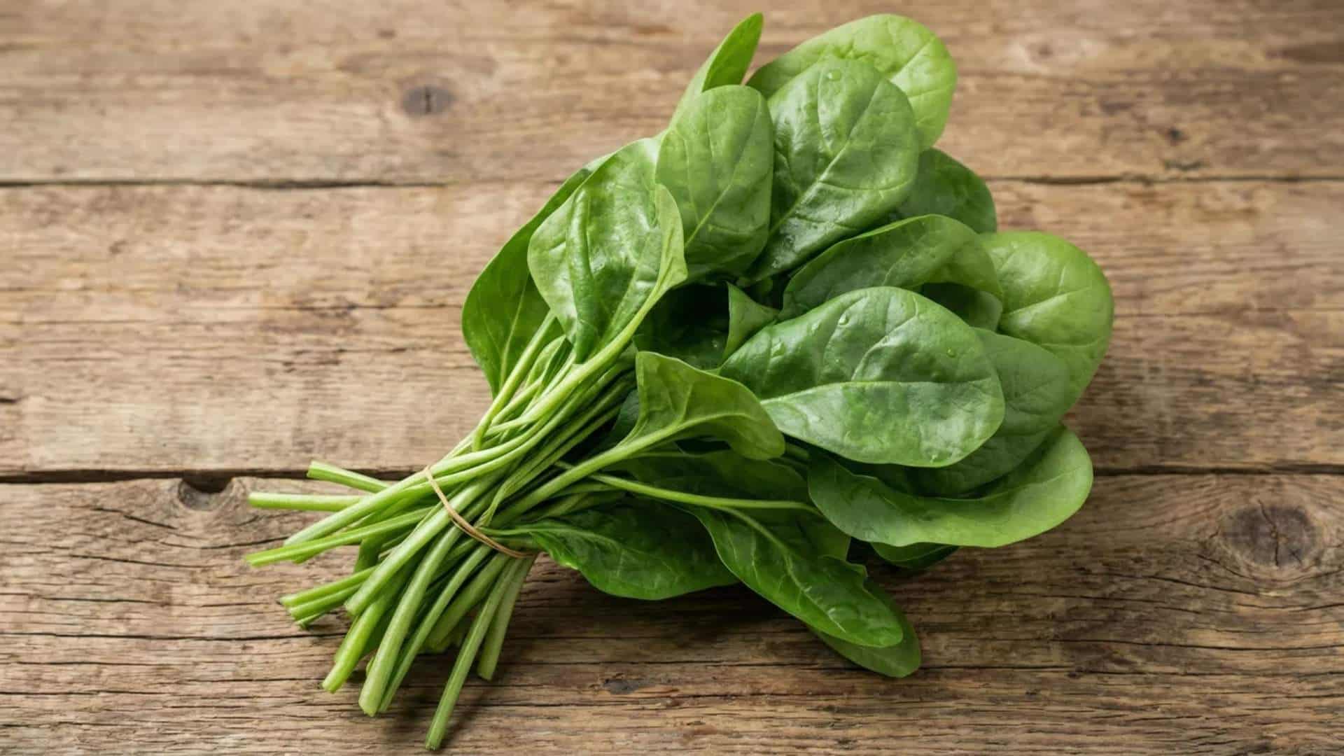 fresh raw spinach bunch tied together, placed on a rustic wooden table with natural light and visible green leaves