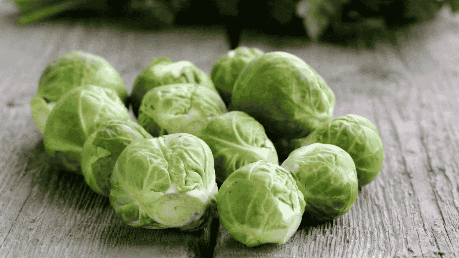 fresh whole brussels sprouts arranged on a rustic wooden table in soft natural light with a blurred background