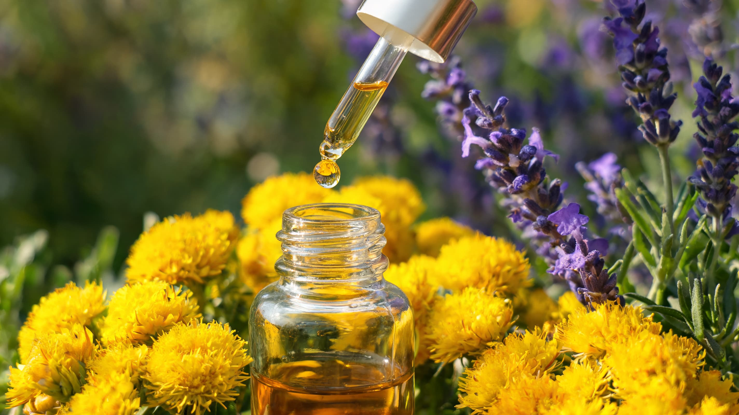 A dropper releases Helichrysum oil into a glass bottle