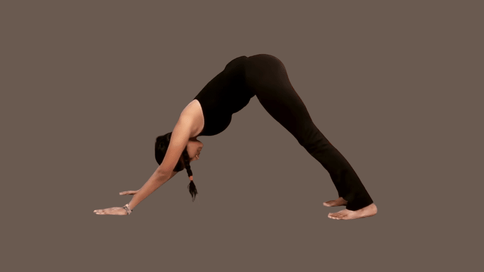 a woman doing ashtanga namaskara as a part of the surya namaskar series