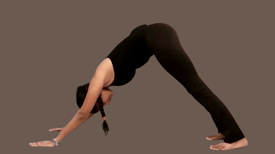 a woman doing ashwa sanchalanasana as a part of the surya namaskar series