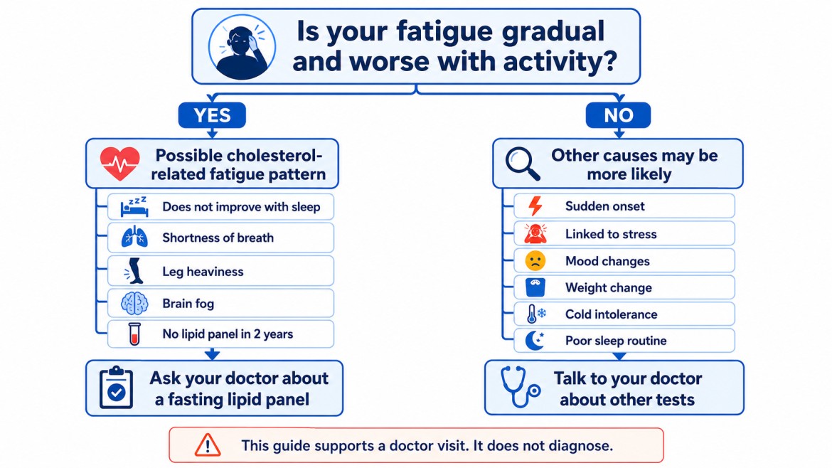 decision tree comparing cholesterol-related fatigue symptoms with other common fatigue causes