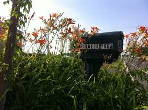 mailbox photo