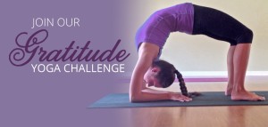 2015 Gratitude Yoga Challenge
