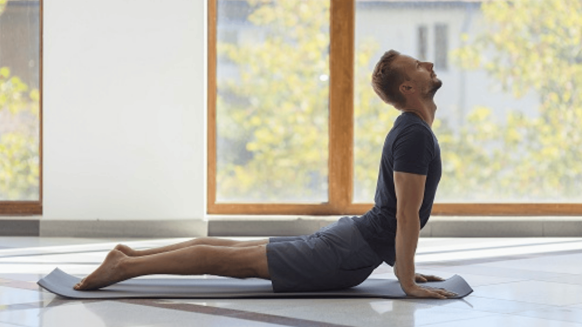 16 cobra pose bhujangasana