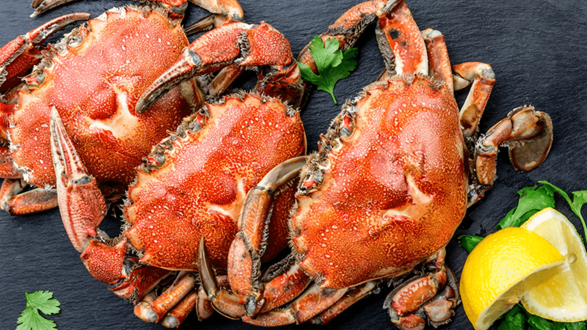 calories in crab legs featured