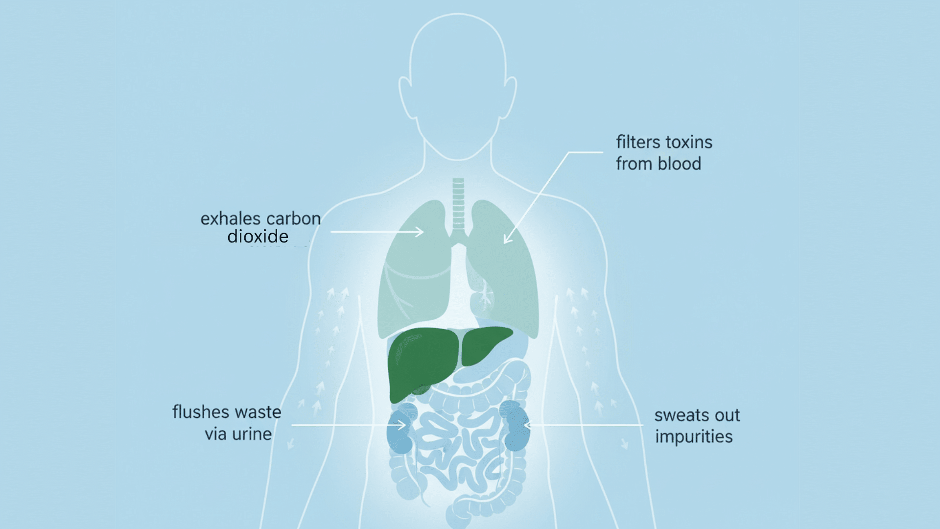 does your body really need a detox