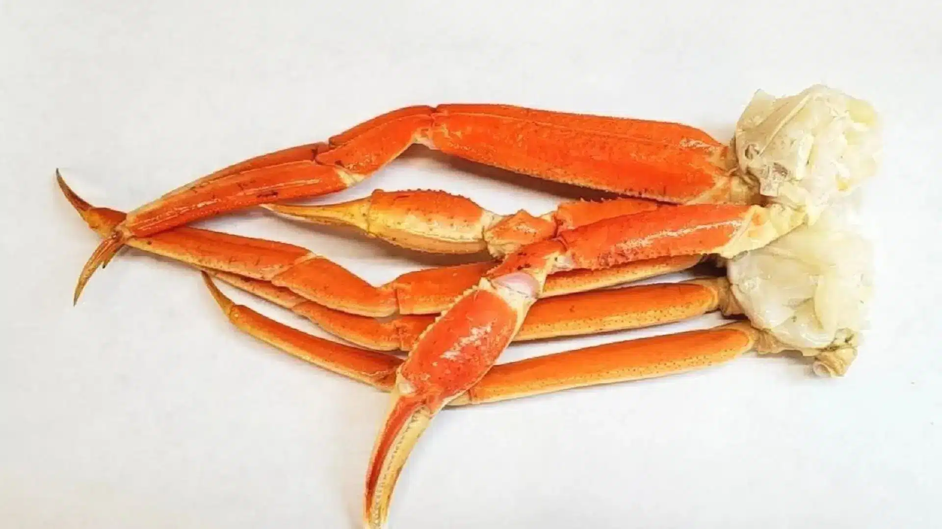 overhead shot of bright orange and white snow crab leg clusters arranged together against a plain white background