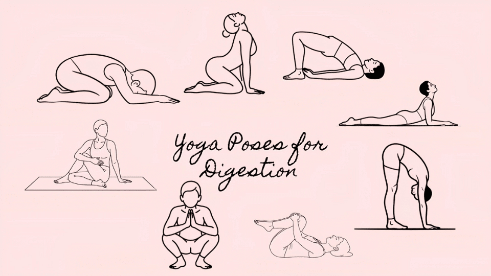 a circle of basic types of yoga poses that can be done for digestion and ease discomfort