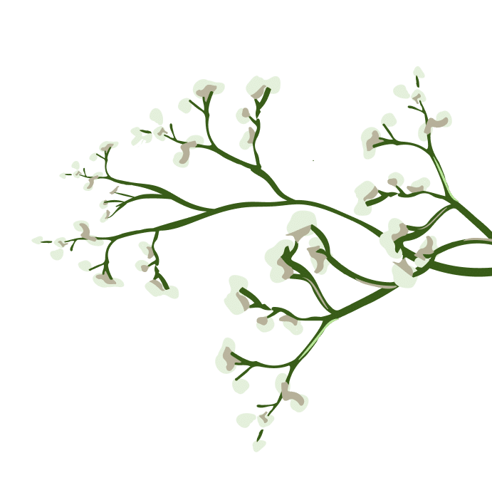 archive-flower