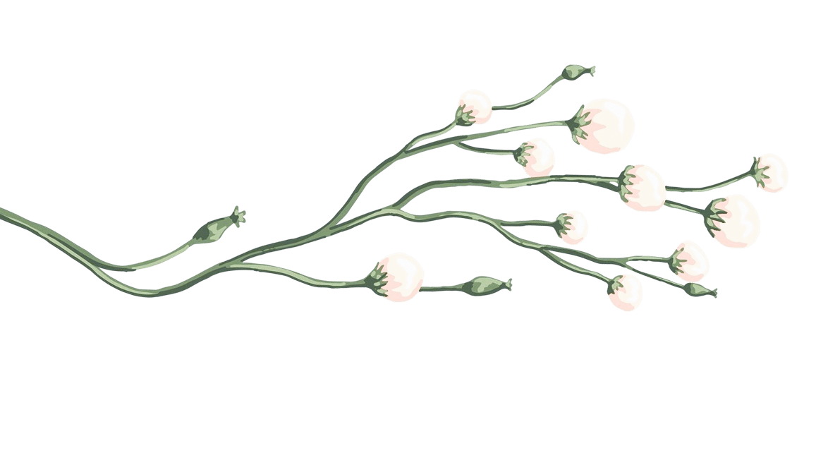 flower2