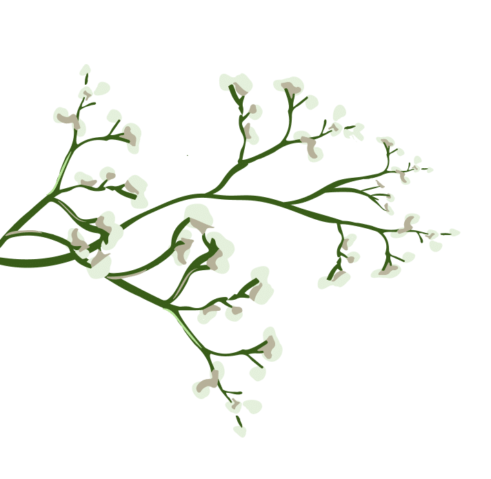 flower3